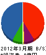 沖縄ウォーターテクノ 貸借対照表 2012年3月期