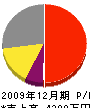 辻設備工業 損益計算書 2009年12月期