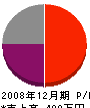 栃下タイル 損益計算書 2008年12月期
