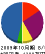 ワタナベプラント 貸借対照表 2009年10月期