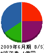 神谷日宏 貸借対照表 2009年6月期