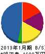 サチヨ電気 貸借対照表 2013年1月期
