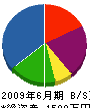 斎藤工務店 貸借対照表 2009年6月期