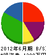大彰工業 貸借対照表 2012年6月期