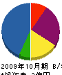 サヤカ工業 貸借対照表 2009年10月期