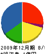 井手塗装興業 貸借対照表 2009年12月期