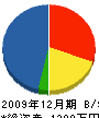 龍盛建設 貸借対照表 2009年12月期