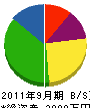 ニュープラン永井組 貸借対照表 2011年9月期