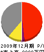 日栄塗装工業 損益計算書 2009年12月期