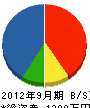 椙田電業 貸借対照表 2012年9月期