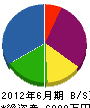 新川電気 貸借対照表 2012年6月期