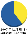 西川工業 貸借対照表 2007年12月期