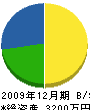 桜井工務店 貸借対照表 2009年12月期