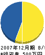 新井ポンプ 貸借対照表 2007年12月期