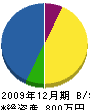 石澤電気 貸借対照表 2009年12月期