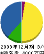 森田開発 貸借対照表 2008年12月期