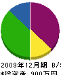 平野ペイント 貸借対照表 2009年12月期