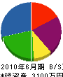 早坂建設 貸借対照表 2010年6月期