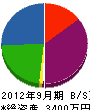 日向川砂利 貸借対照表 2012年9月期