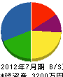 山田電機商会 貸借対照表 2012年7月期