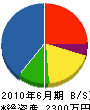藤喜緑化 貸借対照表 2010年6月期
