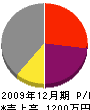 石坂元一 損益計算書 2009年12月期