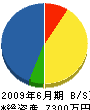 日藤ホーム 貸借対照表 2009年6月期