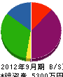 竜王通信 貸借対照表 2012年9月期