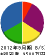 竹島組 貸借対照表 2012年9月期