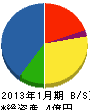 湘南電設 貸借対照表 2013年1月期