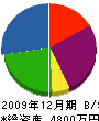 丸電阿部電気 貸借対照表 2009年12月期