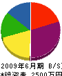 石川塗工店 貸借対照表 2009年6月期