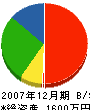 安井電気商会 貸借対照表 2007年12月期