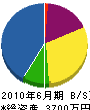 嵯峨苑 貸借対照表 2010年6月期