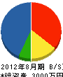竹中組 貸借対照表 2012年8月期