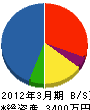 日栄カラー 貸借対照表 2012年3月期