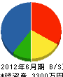 藤田電気 貸借対照表 2012年6月期