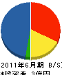 三晴 貸借対照表 2011年6月期