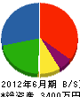 誠大 貸借対照表 2012年6月期