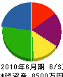 堀田組 貸借対照表 2010年6月期