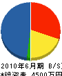 川平組 貸借対照表 2010年6月期