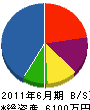 星翔電気商会 貸借対照表 2011年6月期