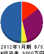 片山土木工業 貸借対照表 2012年1月期