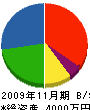 三髙電工 貸借対照表 2009年11月期