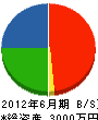 山本電気商会 貸借対照表 2012年6月期