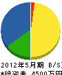 大江建設 貸借対照表 2012年5月期