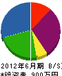 緑楓園 貸借対照表 2012年6月期