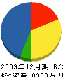 掛田工務店 貸借対照表 2009年12月期