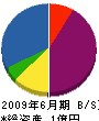 平田商会 貸借対照表 2009年6月期