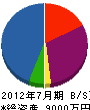 深沢電気商会 貸借対照表 2012年7月期